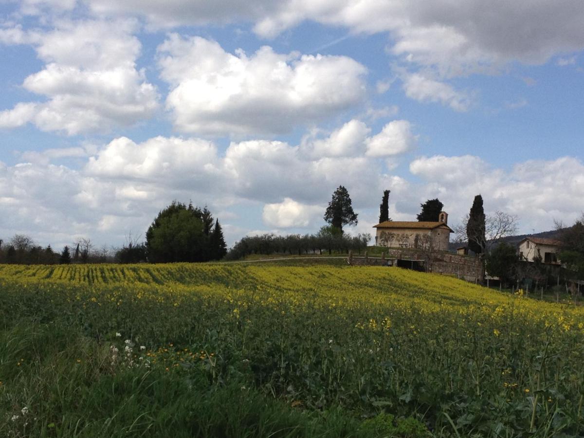 Gli Ulivi D'Argento Villa Assisi Esterno foto